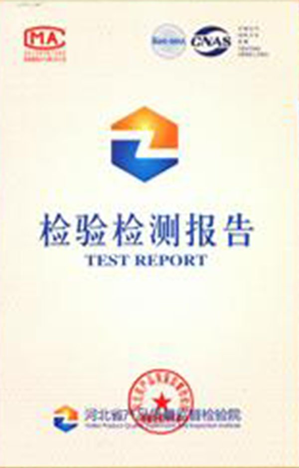 Test Report