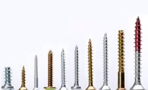Top 10 Screws Every DIY Enthusiast Should Know About